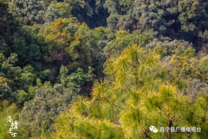 啸风峭壁奖励任务_峭壁边缘_峭壁的意思