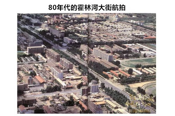 川乌草乌与制川乌制草乌_建制_热制皂 冷制皂