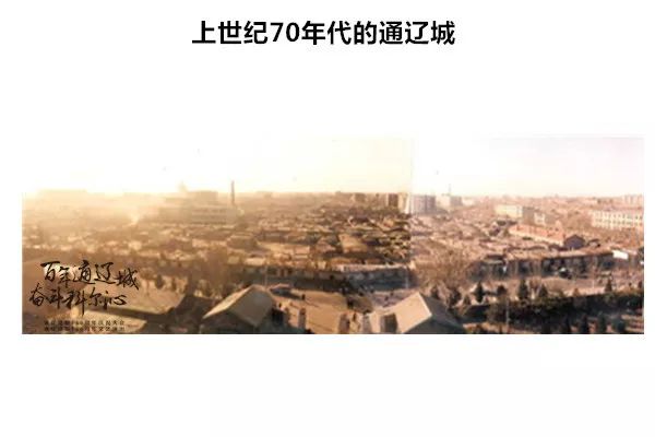 川乌草乌与制川乌制草乌_建制_热制皂 冷制皂