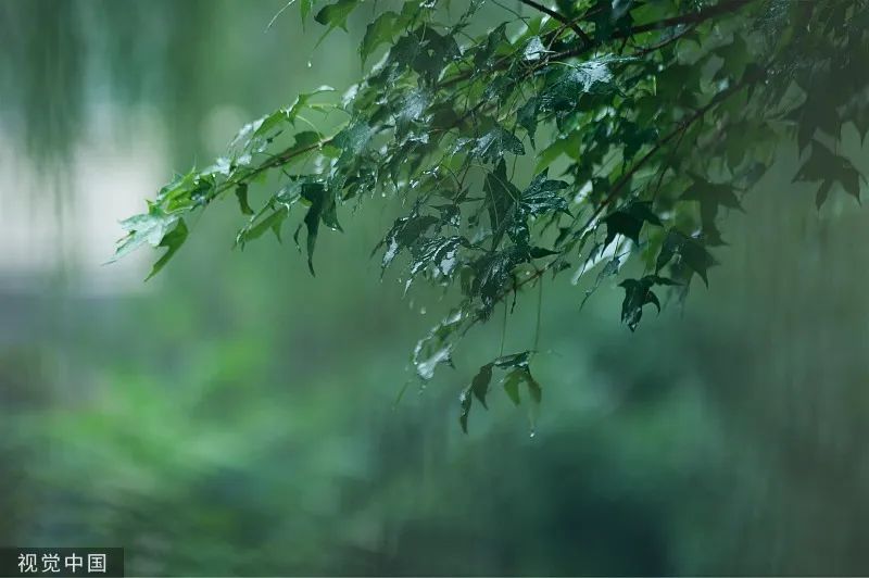 泥土英文怎么说_泥土 英文_泥土英文