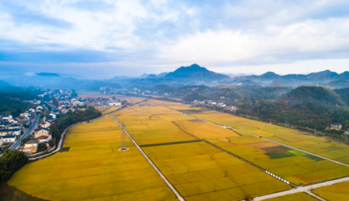 土地平旷屋舍俨然有良田美池_屋舍俨然_土地平旷 屋舍俨然