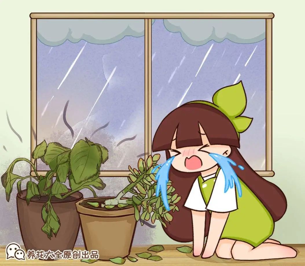 淋雨吧影视_淋雨试验箱_淋雨