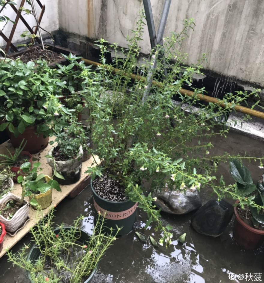 淋雨吧影视_淋雨_淋雨试验箱