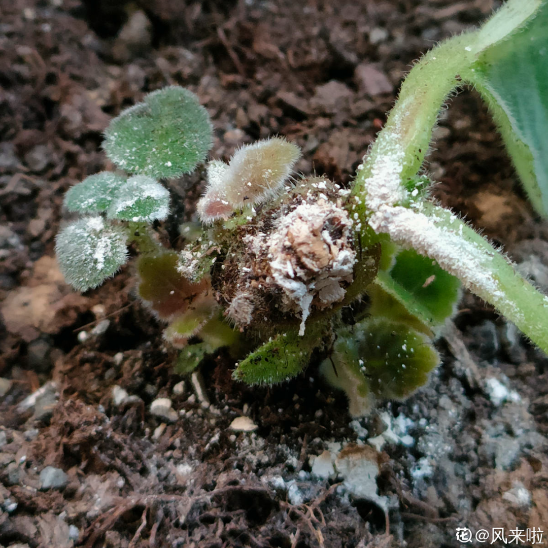 淋雨吧影视_淋雨_淋雨试验箱