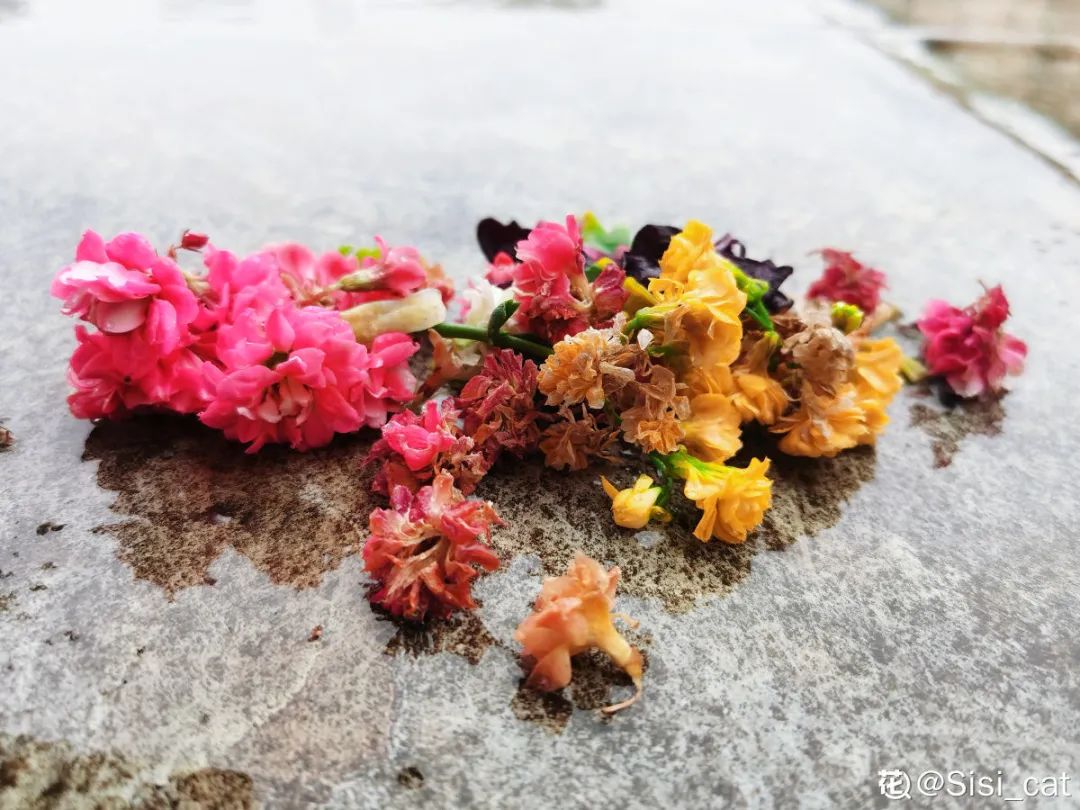 淋雨吧影视_淋雨_淋雨试验箱