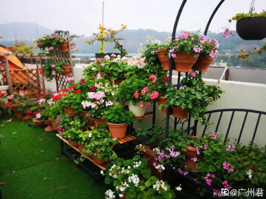 淋雨吧影视_淋雨试验箱_淋雨