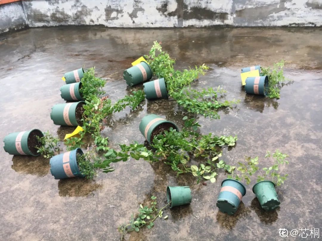 淋雨_淋雨吧影视_淋雨试验箱