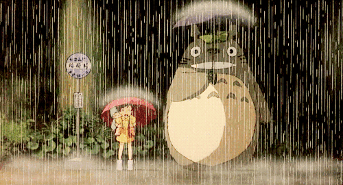 淋雨_淋雨一直走 张韶涵_经期淋雨