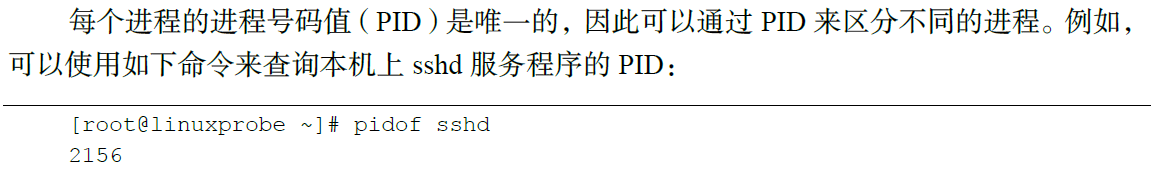 tshark 命令参数详解_ping命令命令入门详解_df-h命令参数详解